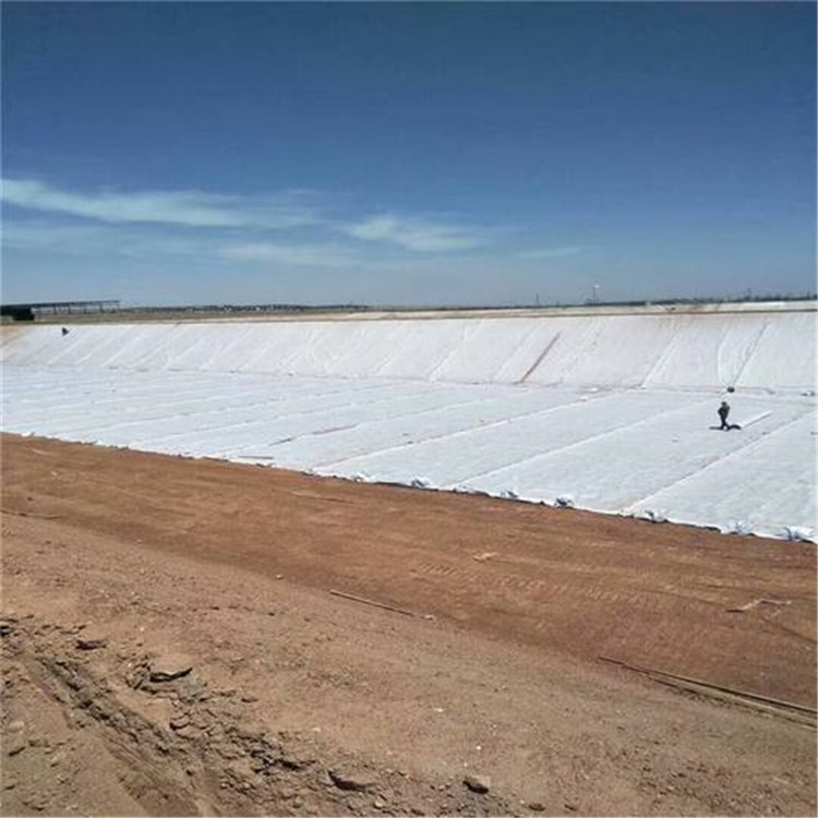 geotextile for slope protection.jpg