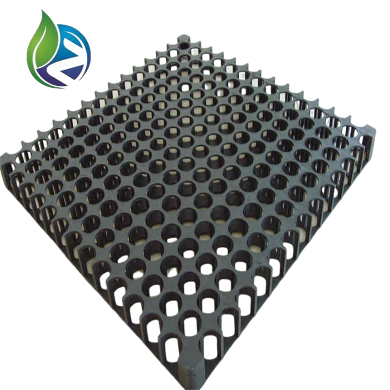 drain cells.jpg drain cells.jpg