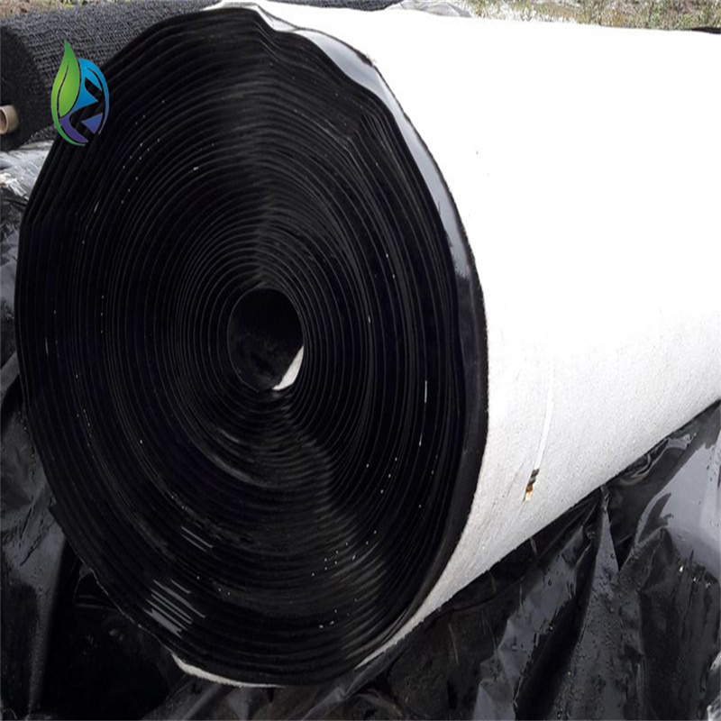 composite geomembrane