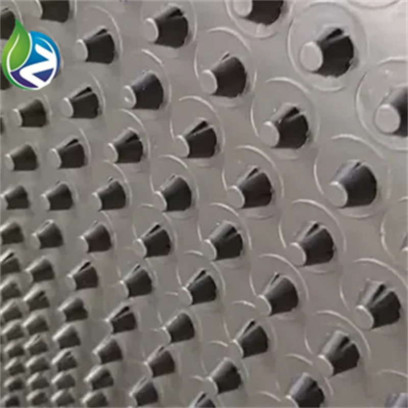 Plastic Drainage Board