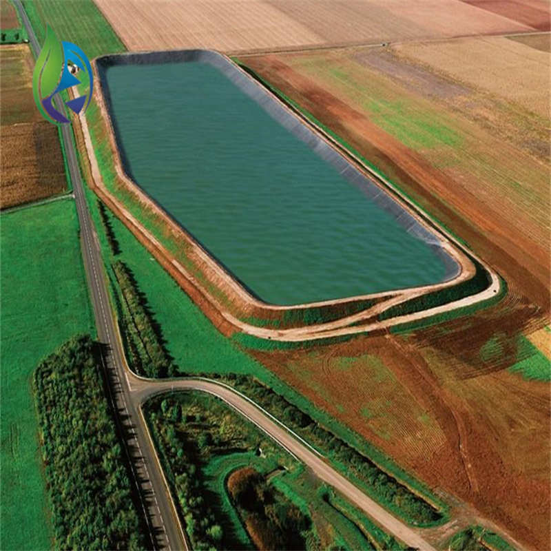 black pond liner.jpg black pond liner.jpg