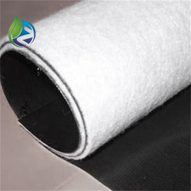 composite geomembrane