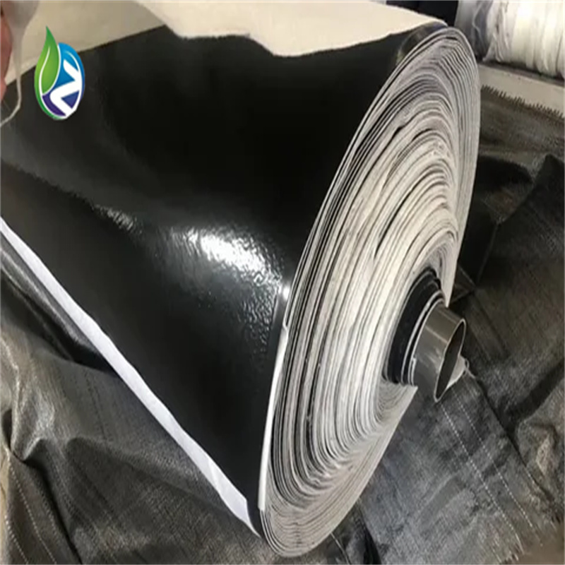 Geomembrane HDPE 1 mm 2 mm geomembrane lined dam composite Shandong aquaculture geomembrane