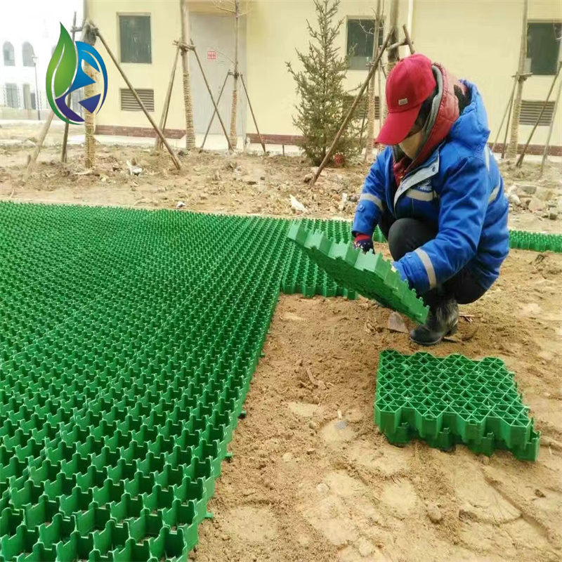 Plastic grass paver.jpg Plastic grass paver.jpg