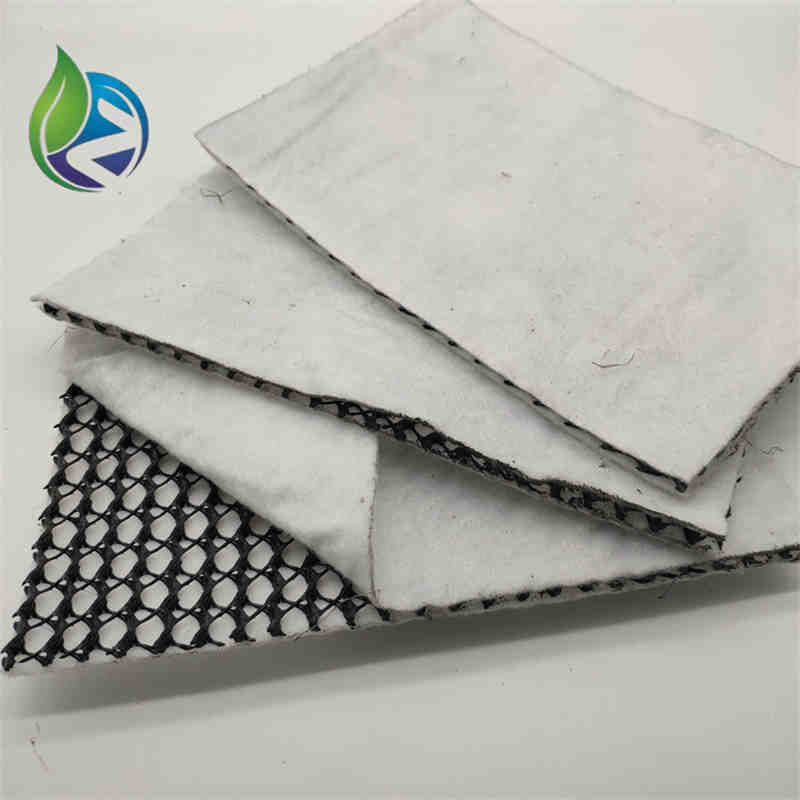 composite geonet.jpg