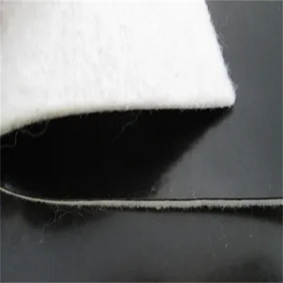 geomembrane liner