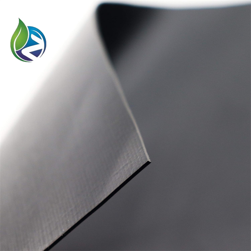 geomembrane